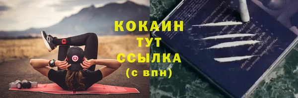 сатива Белокуриха
