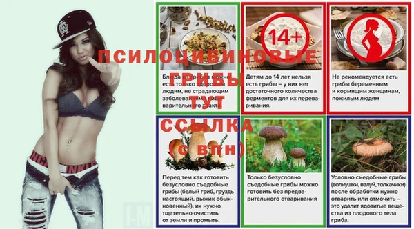 сатива Белокуриха