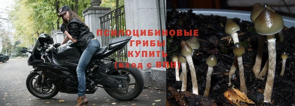 прущий лед Белоозёрский