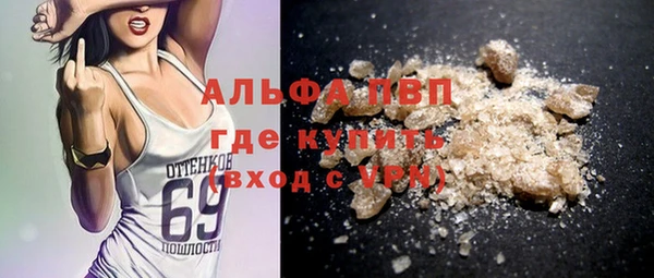 сатива Белокуриха