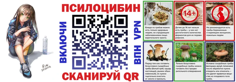 Галлюциногенные грибы Cubensis  Дигора 